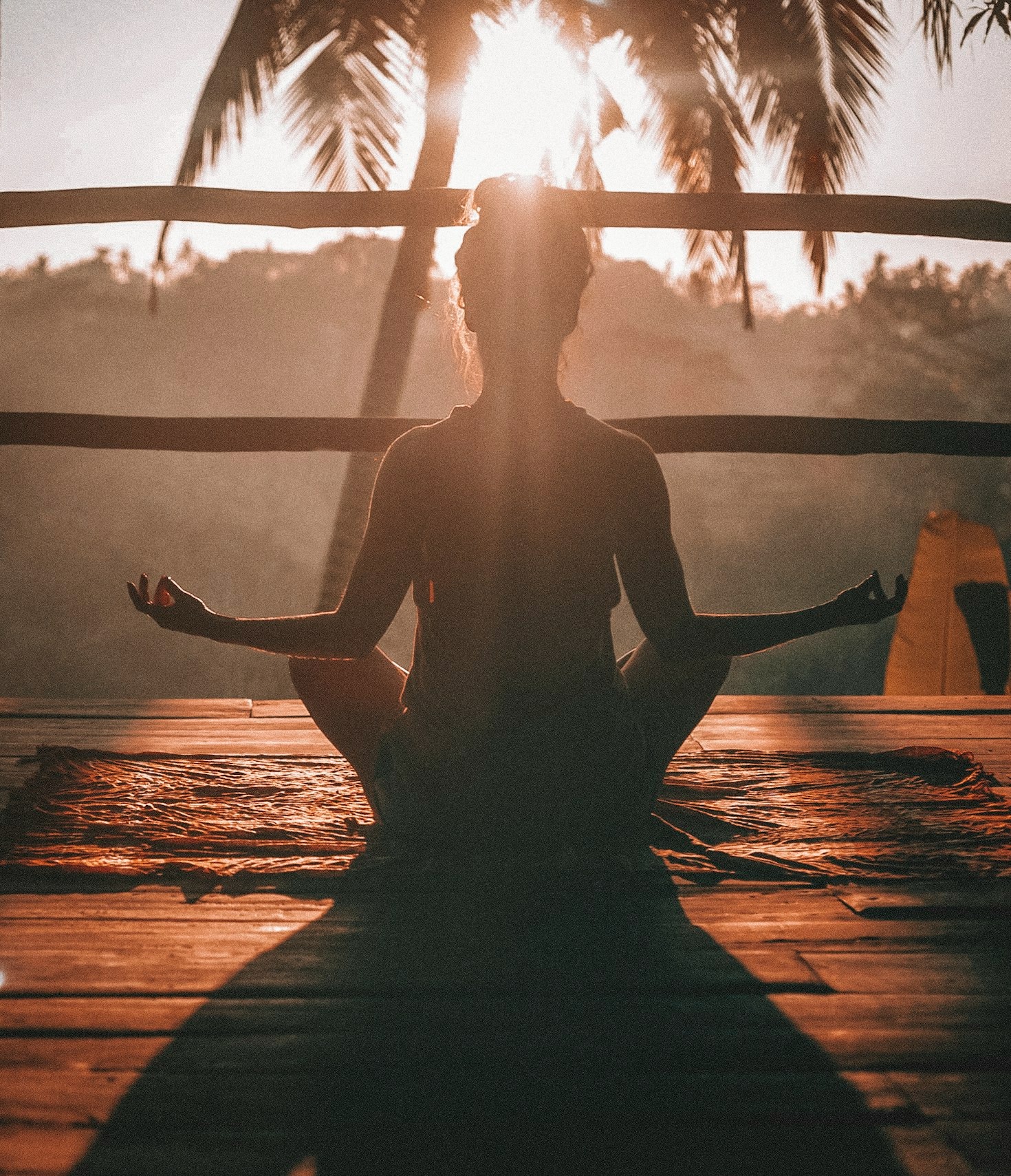 Exploring the Intersection of Health and Happiness